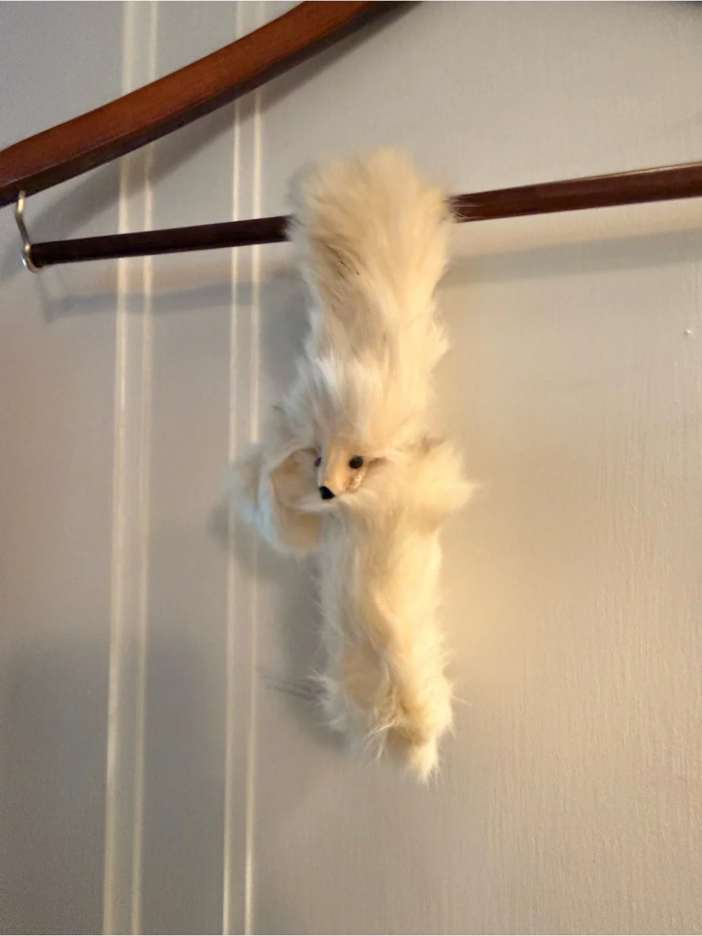 Lot of 5 Vintage Fur Collars in various fur types